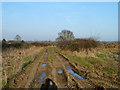 Farm track and public footpath, White Notley