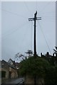 Traditional telegraph pole on Castle Street, Winchcombe