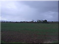 Crop field near Portway