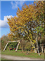 Swings in the Country Park near Alveley, Shropshire