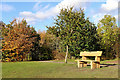 Autumn in the Country Park near Alveley, Shropshire