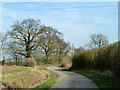 Dagnets Lane