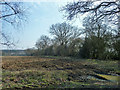 Field edge south of Blackley Lane