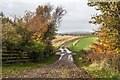 Autumn at Milton Mill