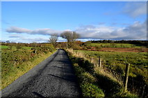 H5774 : Cloghglass Road, Mullaghslin Glebe by Kenneth  Allen