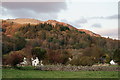 View Towards the Bower House Inn