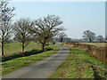 Lane towards Leez Priory