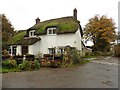 Thatched cottage, Rose Ash