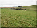 View downslope on White Hill near Earlside, Hawick