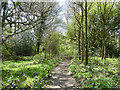 Path, Laindon Common