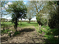 Way between fields near Little Burstead