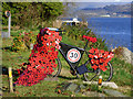 Poppy bike at Blairmore