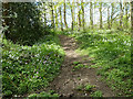 Footpath to Broomhill Chase, Little Burstead