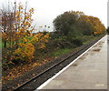 Autumn colours opposite Rhiwbina railway station, Cardiff