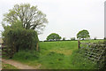 Footpath to Ley Lane