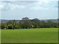 View SE from near Broomhills Farm