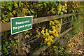 "Please mind the grass verges", North Road