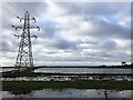 TL2799 : Pylon on Whittlesey Wash - The Nene Washes by Richard Humphrey