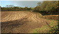 Stubble field, Uphempston