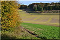 View across Flock Bottom