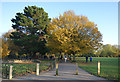 Autumn Day on Wandsworth Common