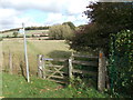 Hertfordshire Way at Great Gaddesden