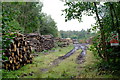 Timber stacks