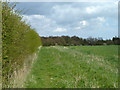 Footpath 56 towards Blind Lane