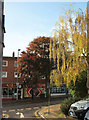 Autumn trees, South Street, Exeter