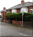 Houses, hedges, low walls and cabinets, Caedelyn Road, Cardiff