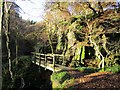 Damaged footbridge at Witches