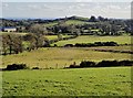 Drumlin landscape south of Guiness Road