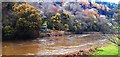 The River Wye South of Lower Redbrook