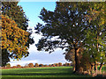 View east from Betchton Road