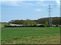 Field and pylon