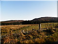 Farmland at Brin Mains