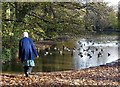 At the old boating lake in Endcliffe Park