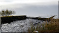 ND0241 : Water flowing from Loch a' Mhuilinn by John Lucas