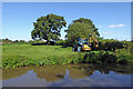SJ9825 : Canalside pasture south-east of Weston in Staffordshire by Roger  D Kidd