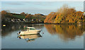 Kingsbridge Estuary