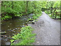 The Pennine Bridleway by River Kinder