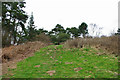 Path up Church Hill, West Hoathly