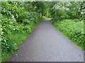 The Pennine Bridleway near Birch Vale