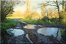 H5371 : Icy puddles on a rough lane, Bancran by Kenneth  Allen