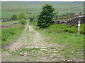 The Pennine Bridleway near Matley Moor