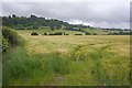 SO2559 : Barley, Walton (Radnorshire) by Richard Webb