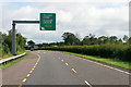R5048 : Overhead Sign at the Northern End of the N21 by David Dixon