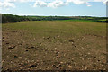 Arable field above Ley Farm #3