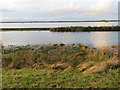 TL4177 : Early winter flooding near Chain Corner - The Ouse Washes by Richard Humphrey