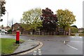 Wordsworth Street approaching Sunderland Road